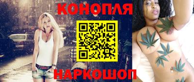 тгк Новозыбков